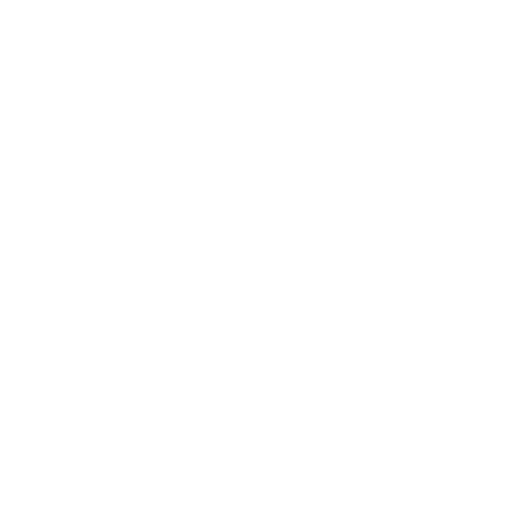 Online Customers